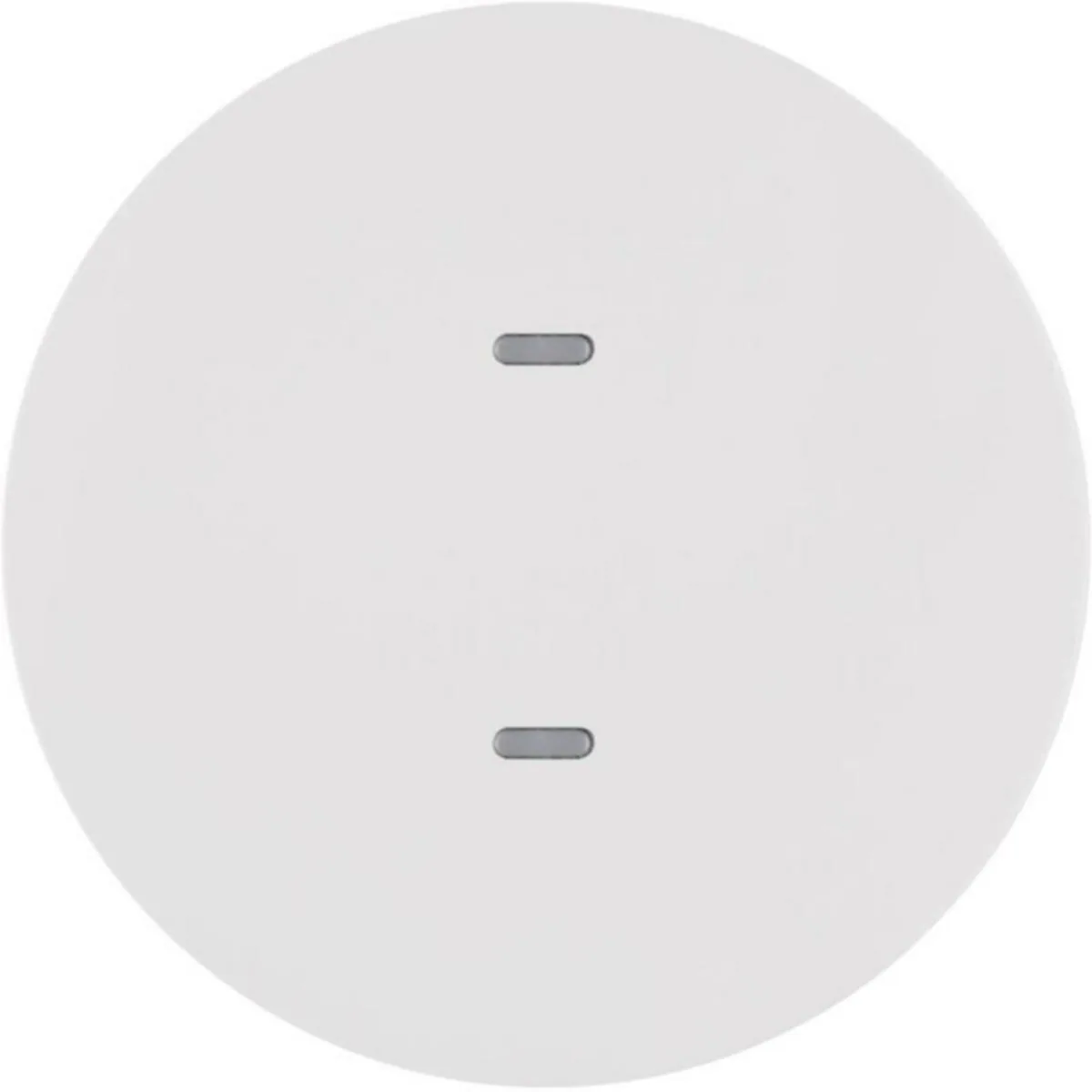 Painike KNX Hager R.1 2-PAIN. MI/RGB-MV VAL – valkoinen