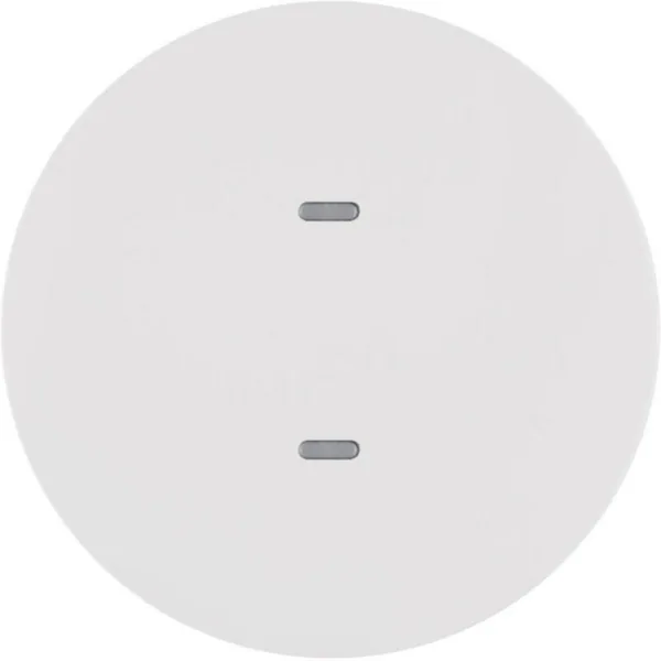 Painike KNX Hager R.1 2-PAIN. MI/RGB-MV VAL