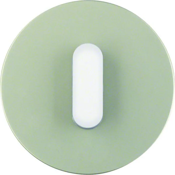 Peitelevy Hager R.classic vääntimellä 1f. w. toggle RST/white