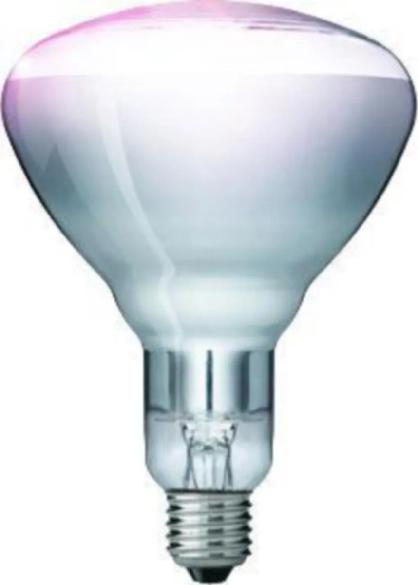 Lämpölamppu Philips IR IR150CH BR125 240V E27