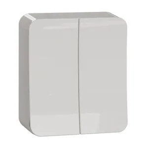 Kaksivipuinen kytkin Schneider Electric Exxact - KYTKIN EXXACT 5/16A/IP21 PPJ 2X VAL