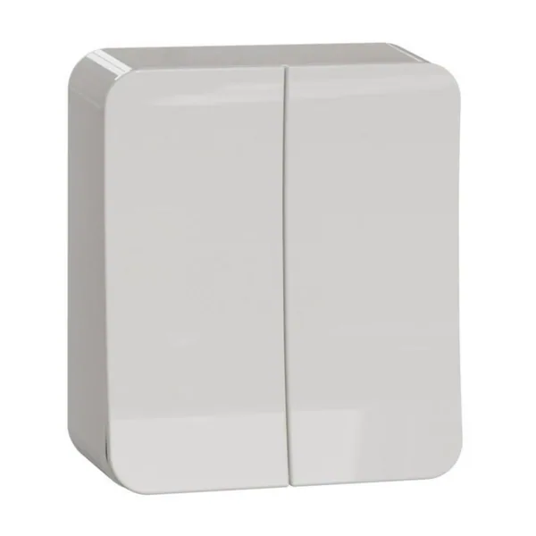 Kaksivipuinen kytkin Schneider Electric Exxact 5/16A/IP21 PPJ 2X VAL