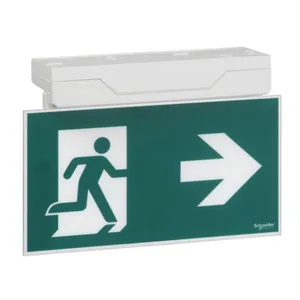 Opastevalaisin Schneider Electric Exiway Smartexit - OPASTEVALAIS. EXIWAY SMARTEXIT IP40 DICUBE 32M OPASTE 1,5H