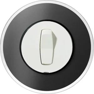 Peitelevy Schneider Electric Renova - PEITELEVY RENOVA 1-KEHYS LASI MUS