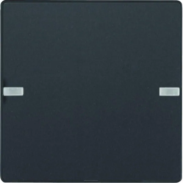 Painike KNX Hager Q.1 2-PAIN. MI/RGB-MV ANT