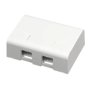 Pintarasia Schneider Electric Actassi - PINTARASIA ACTASSI PINTARASIA 2XRJ45 VAL