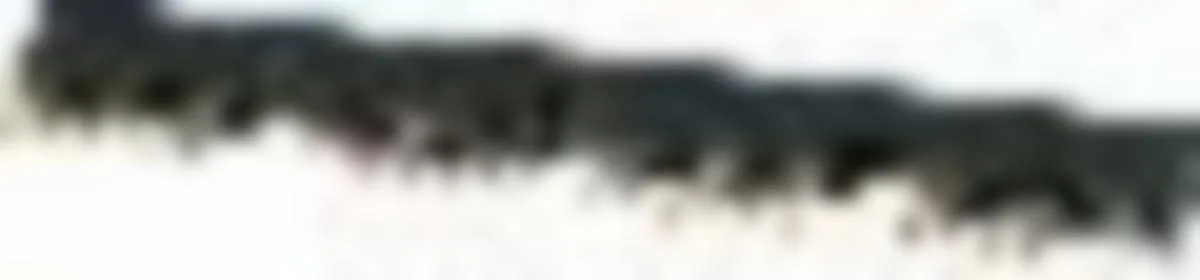 Virtakisko Eaton PKZ 63959