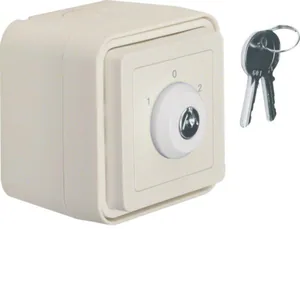 Kytkin Hager W.1 pinta 5, avainverhokytkin - KYTKIN W.1 5/10A/IP55 VERHO LUK PPJ VAL