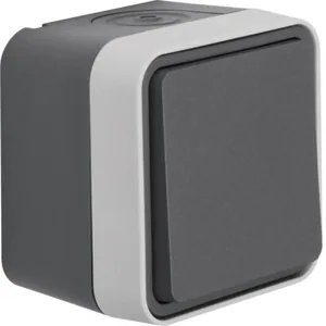 Vipupainike Hager W.1 - VIPUPAINIKE W.1 1/10A/250V/IP55 PPJ HAR