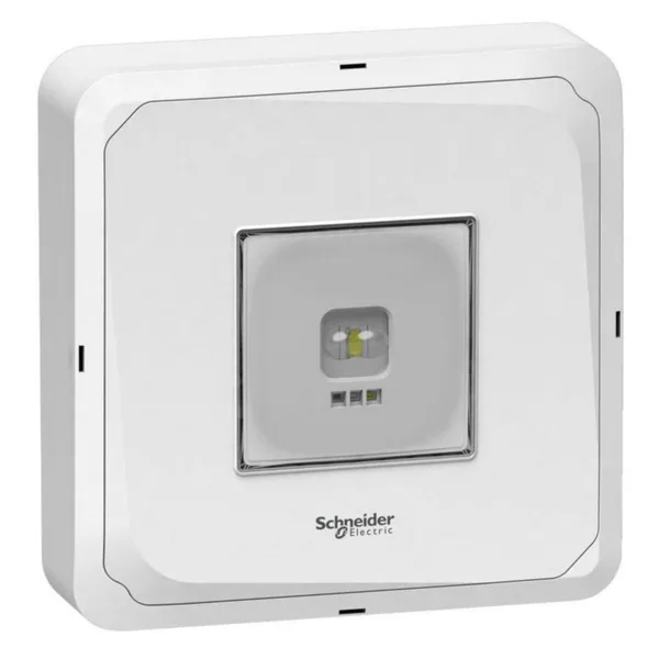 Turvavalaisin Schneider Electric Exiway Smartbeam IP65 CBS 5LX PINTA 216VDC230