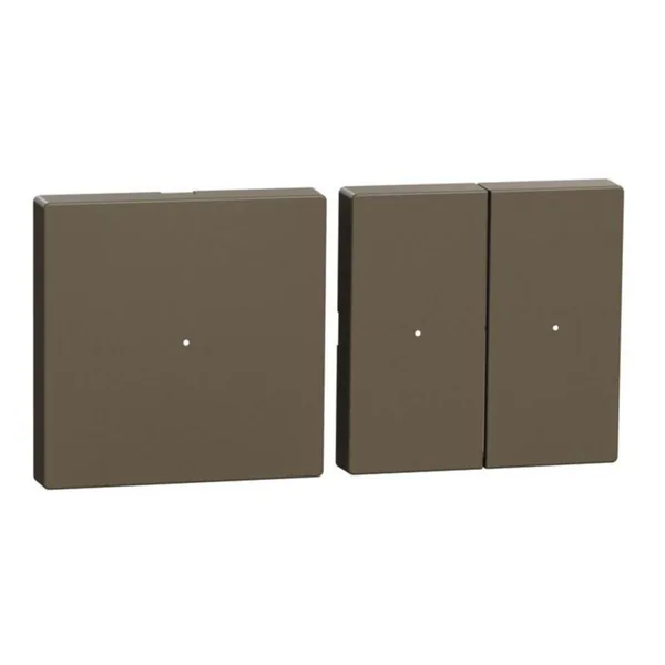 Painike Schneider Electric Wiser Exxact langaton