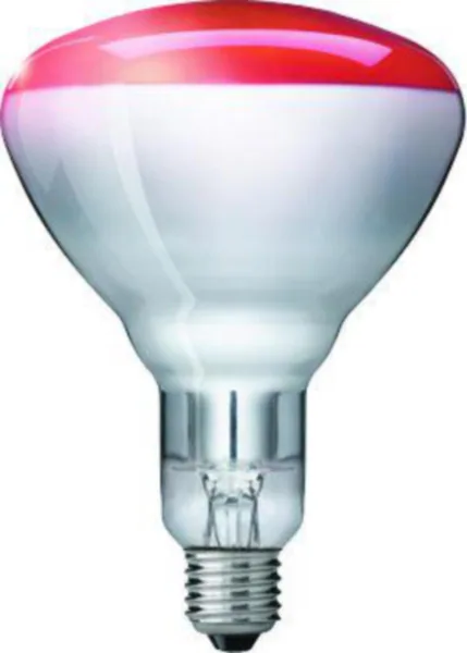 Lämpölamppu Philips IR IR250RH BR125 240V E27