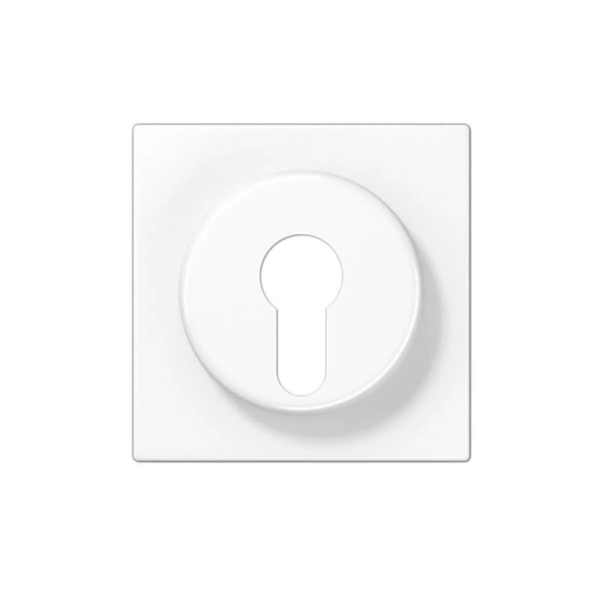 Keskiölevy Ensto Intro, For key switch inserts