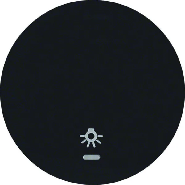 Vipu Hager R.1 1/6/7 LI "lamp" black
