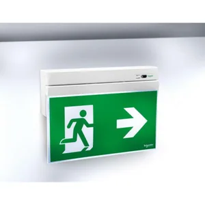 Opastevalaisin Schneider Electric Exiway Smartexit - OPASTEVALAIS. EXIWAY SMARTEXIT IP40 ACTIVA 26M OPASTE 3H