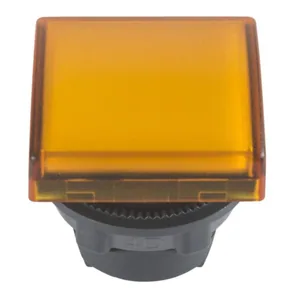 Avain Schneider Electric Preventa - AVAIN PREVENTA RONIS 455 ZB2-BG