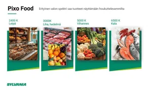 Kohdevalaisin Sylvania Pixo Food - KOHDEVALAISIN PIXO FOOD 40W 3400LM LEIPÄ 36° BL