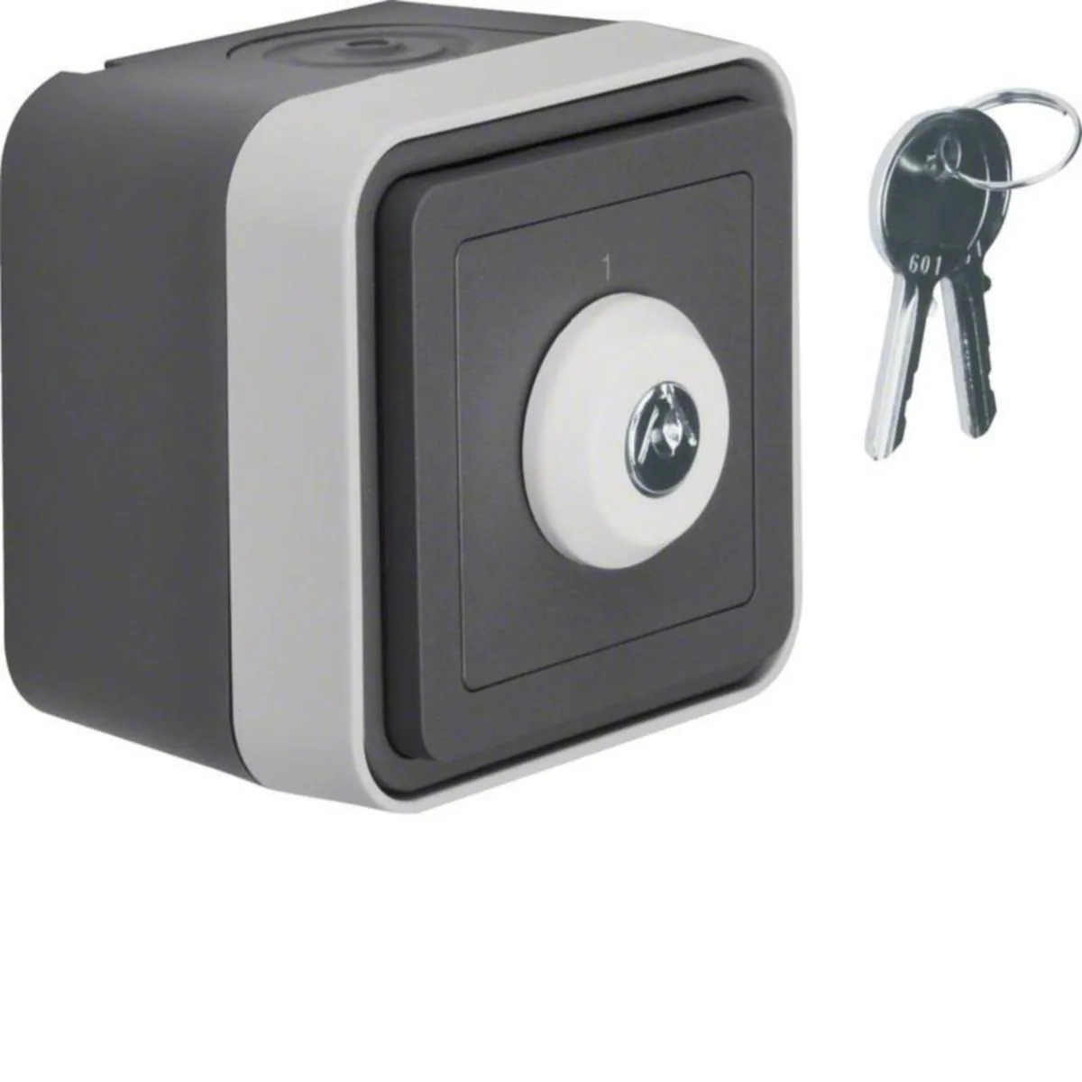 Kytkin Hager W.1 pinta 6, avainkytkin - KYTKIN W.1 6/10A/IP55 LUK. PPR HAR