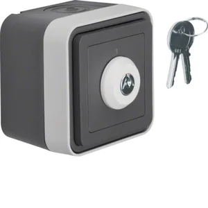Kytkin Hager W.1 pinta 6, avainkytkin - KYTKIN W.1 6/10A/IP55 LUK. PPR HAR