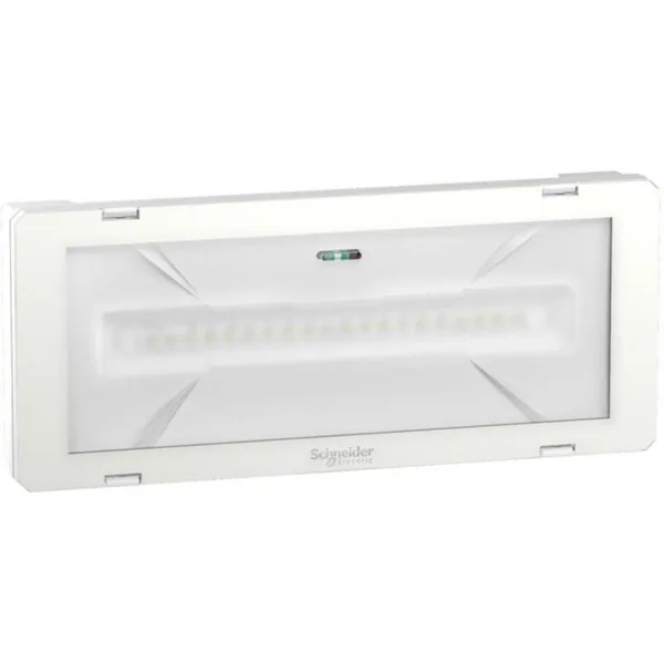 Turvavalaisin Schneider Electric Exiway Smartled IP65 CBS 1000LM 216VDC230