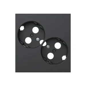Kanavapistorasia ABB ProDuct keskiölevy - KANAVAPISTORASIA PRODUCT KESKIÖL, 2-OS MAAD PISTOR, ANT