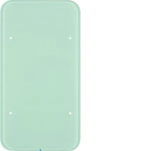 Painike KNX Hager R.1 - PAINIKE KNX R.1 1OS. LISÄT. LASI VAL