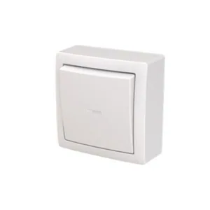 Painike ABB Saga pinta-asennus - PAINIKE SAGA 6/10A/250V/IP21 PPJ 1N LI VAL