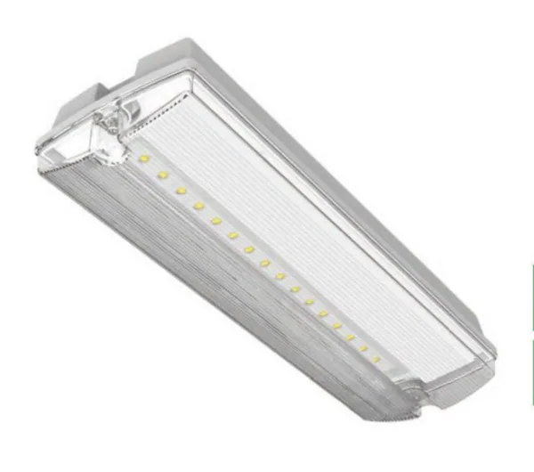 Turvavalaisin Exilight GUARD IP65 ST 230V IP65 3H