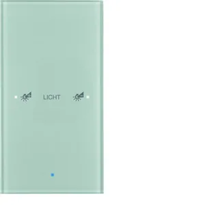 Painike KNX Hager TS Sensor - PAINIKE KNX TS SENSOR 1OS. LISÄT. OP. LASI ALU