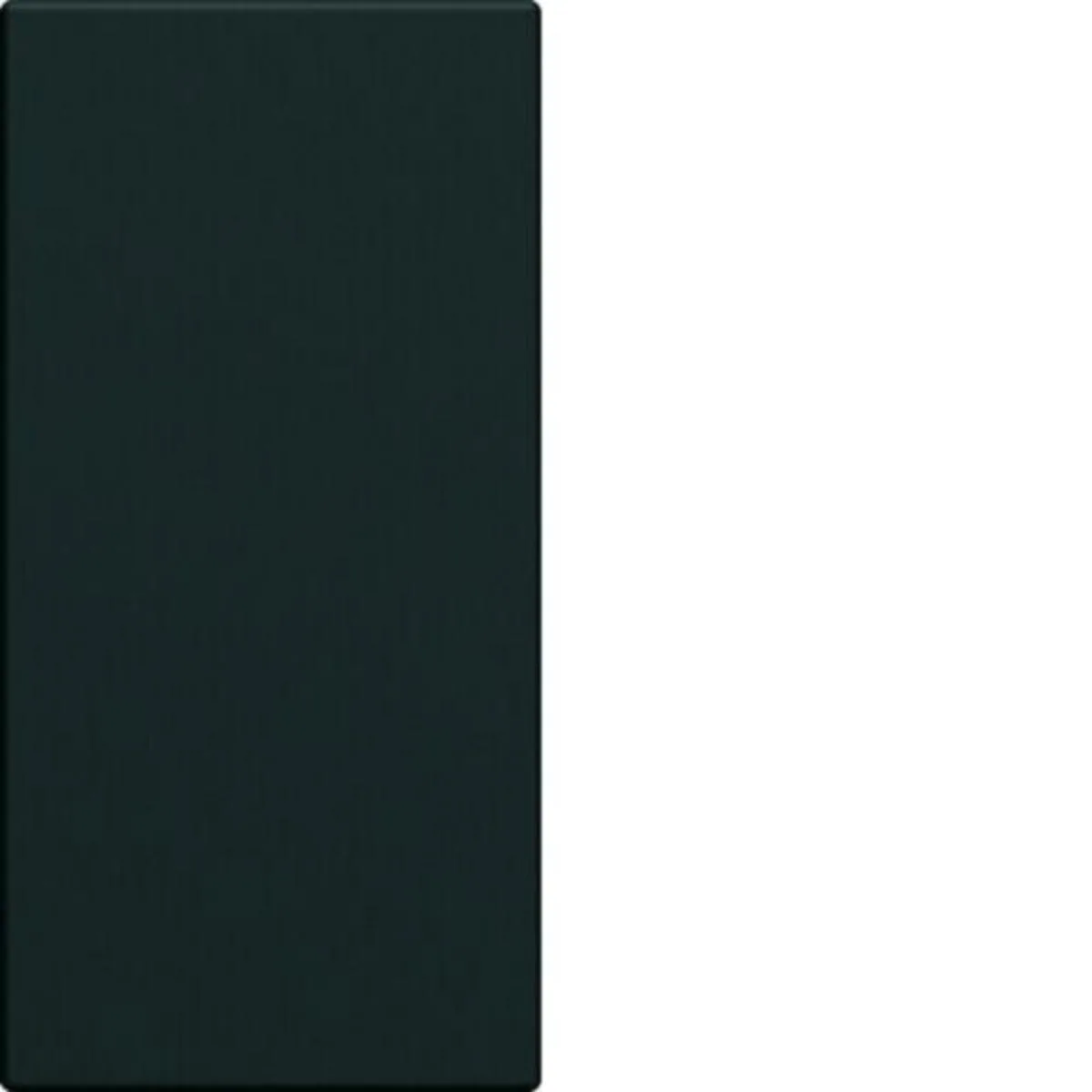 Peitelevy Hager Gallery vipu WXD010 kytk./pain 1M black – musta
