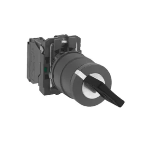 Avainvalintakytkin Schneider Electric Harmony XB5 - AVAINKYTKINKALUSTE HARMONY XB5AG41 2-AS NO