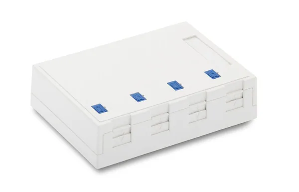 Pintarasia Eurolan 4xKEYSTONE VALKOINEN