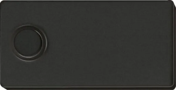 Painike Eltako F1T80