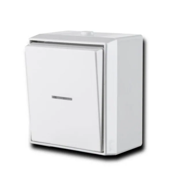 Kytkin Ensto Intro 5, 6 Pinta IP44 6/10A/250V/IP44 PPJ LI VAL