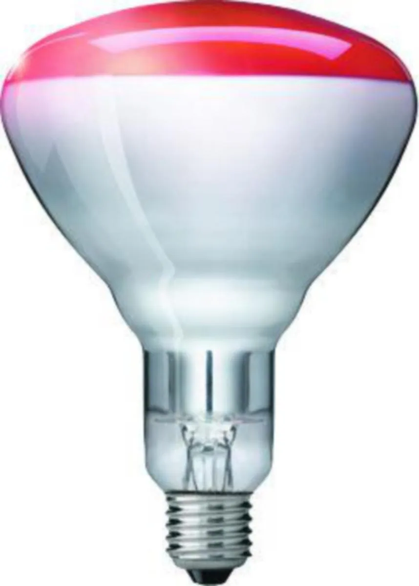 Lämpölamppu Philips IR IR150RH BR125 240V E27