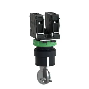 Avainkytkinkaluste Schneider Electric Harmony - AVAINKYTKINKALUSTE HARMONY XB5AG03.3 AS.. 2NO