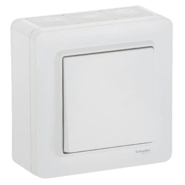 Kytkin Schneider Electric Exxact IP44 pakkaus pinta