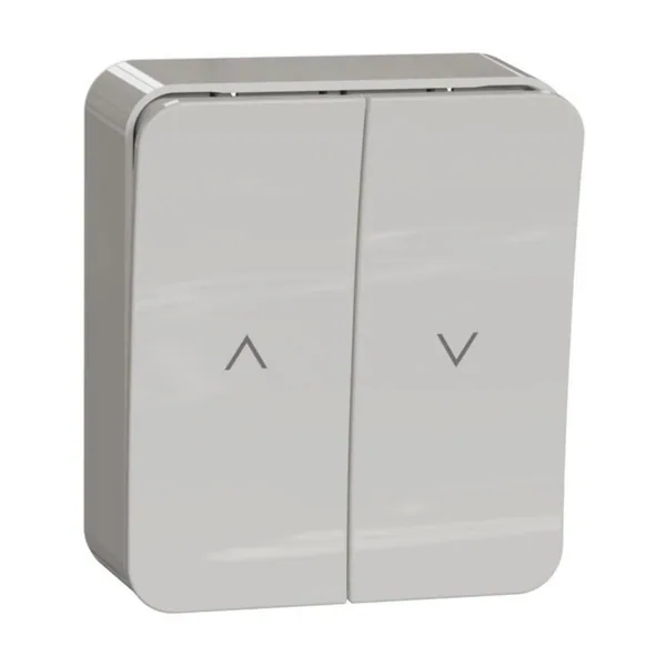 Verho-ohjainpainike Schneider Electric Exxact