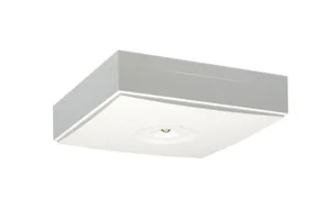 Turvavalaisin Teknoware Zonespot II Lowbay - TURVAVAL ZONESPOT II LOWBAY TWS9292WAC 230VAC IP44 1H