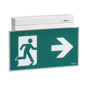 Opastevalaisin Schneider Electric Exiway Smartexit - OPASTEVALAIS. EXIWAY SMARTEXIT IP40 ACTIVA 32M OPASTE 3H