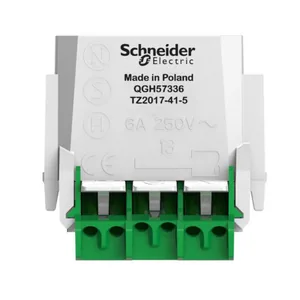 Valaisinpistorasia Schneider Electric Exxact DCL - VALAISINPISTOTULPPA EXXACT DCL-PISTORASIAPESÄ VAL