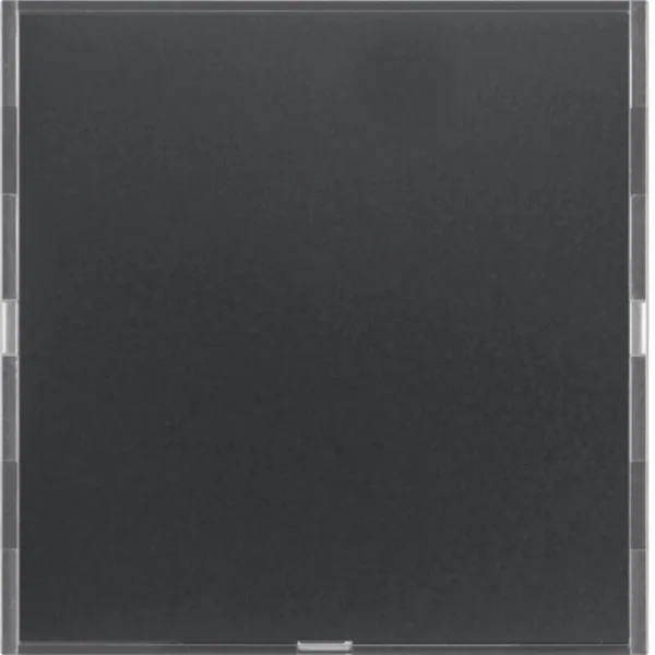 Painike KNX Hager S.1 2-PAIN. MI/RGB-MV ANT/ALU