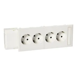 Pistorasia Schneider Electric Thorsman CYB-PS - KANAVAPISTORASIA THORSMAN CYB-PS 2X2-OS.PR + ADAPTERI JL
