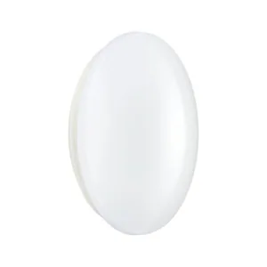 Yleisvalaisin Philips Ledinaire WL060V