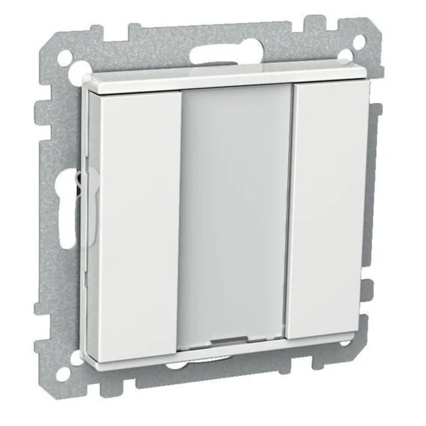 Painike Schneider Electric Exxact KNX-PAINIKE 2-OS. VAL