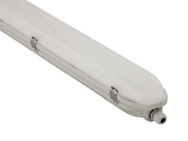 Kupu Exaktor POP Li66