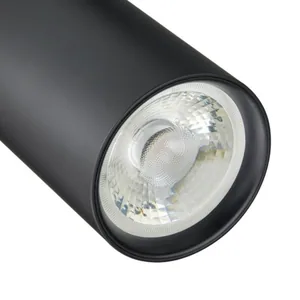 Kohdevalaisin Philips CoreLine Projector - KOHDEVALAISIN CORELINE PROJECT ST151T LED30S/930 WB BK
