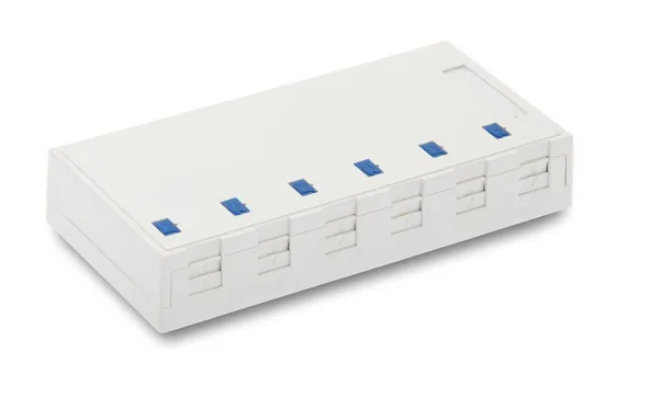 Pintarasia Eurolan 6xKEYSTONE VALKOINEN