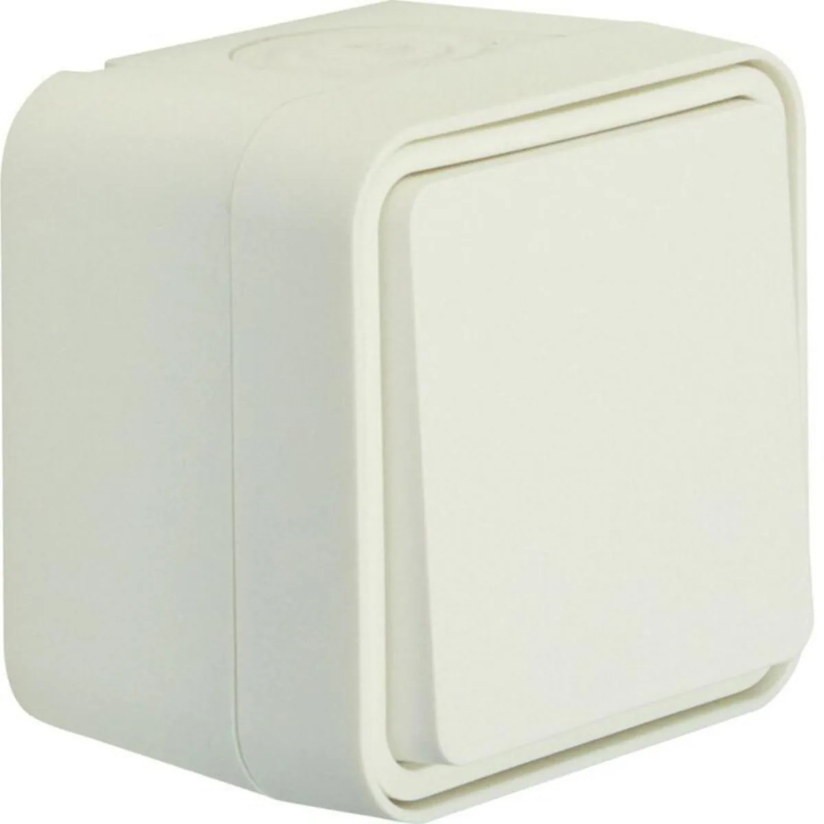 Vipupainike Hager W.1 - VIPUPAINIKE W.1 1/10A/250V/IP55 PPJ VAL