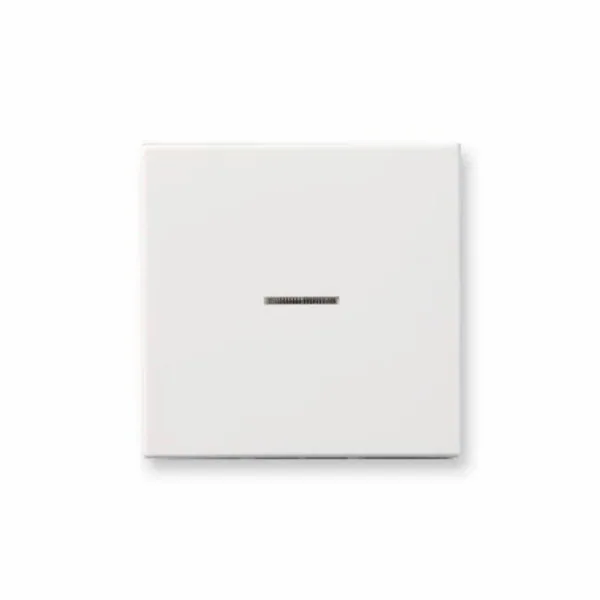 Painike Ensto Intro IP21 1/10AX/250V/IP21 UKJ 0X LI VAL